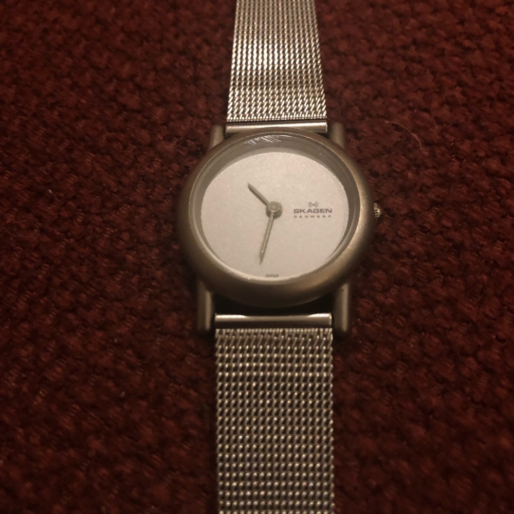 Skagen Women’s Stainless Steel Mesh Watch
